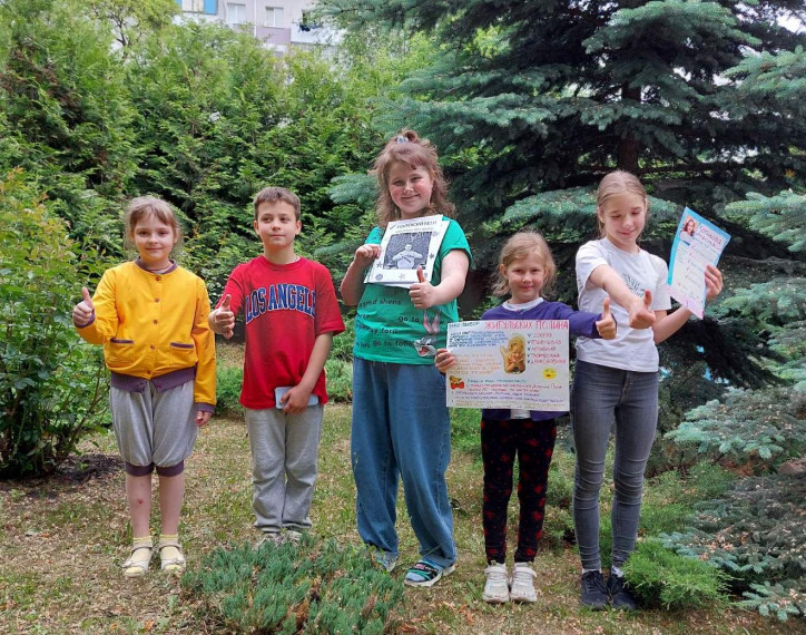 День ярких красок.